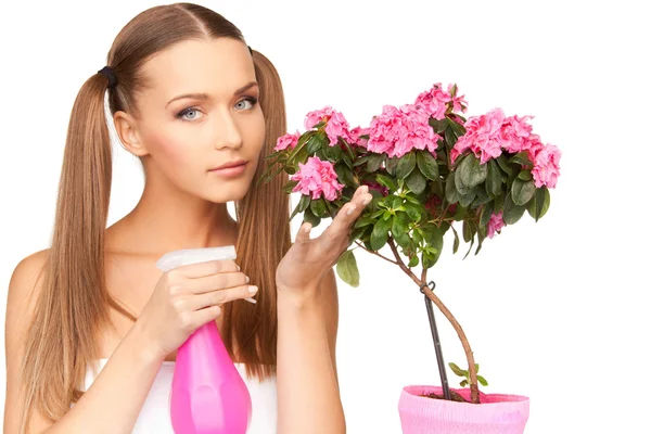 Lovely housewife with flowers — Stock Photo, Image