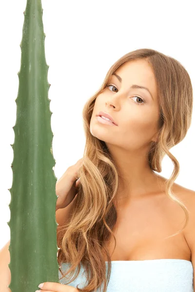 Lovely woman with aloe vera Stock Picture