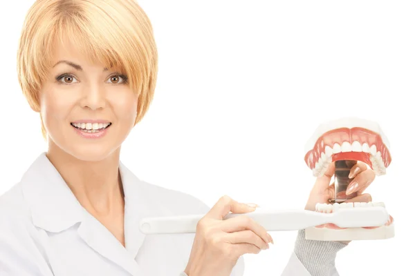 Läkare med tandborste och käkar — Stockfoto