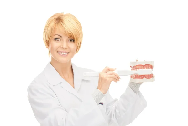 Доктор с зубной щеткой и челюстями — стоковое фото