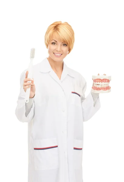 Doutor com escova de dentes e mandíbulas — Fotografia de Stock