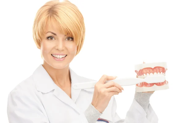 Doutor com escova de dentes e mandíbulas Imagens De Bancos De Imagens Sem Royalties
