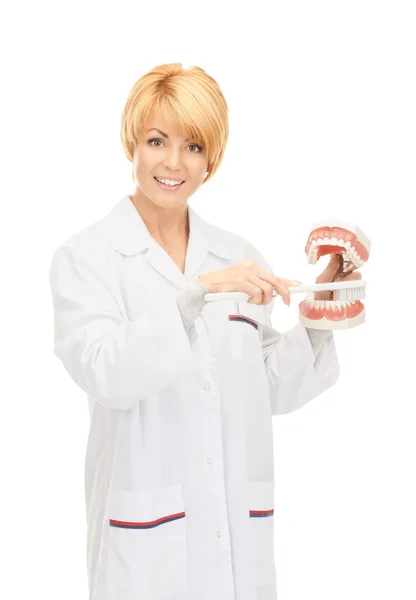 Doktor s kartáček na zuby a čelisti — Stock fotografie