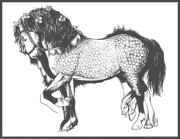 Андалузский конь — стоковый вектор