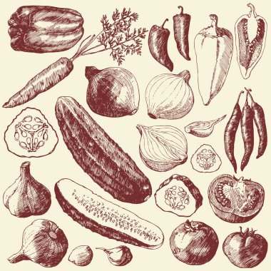 Vegetable set. clipart