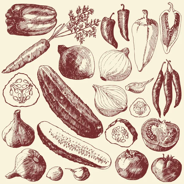Vegetabiliska set. Royaltyfria illustrationer