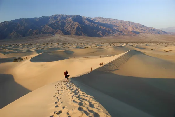 stock image Sand dunes