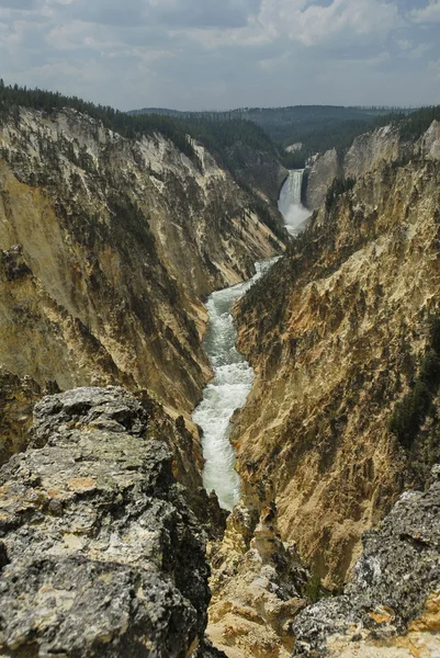 Caduta inferiore Yellowstone Np — Foto Stock