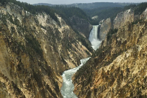 Queda inferior Yellowstone Np — Fotografia de Stock