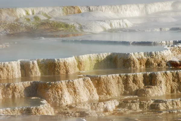 Mamut aguas termales Yellowstone Np — Foto de Stock