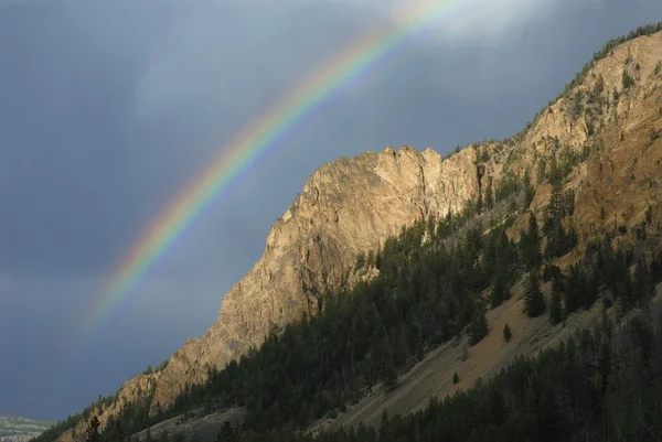 Regenbogen, Yellowstone np — Stockfoto
