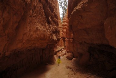 Wall Street, Bryce canyon