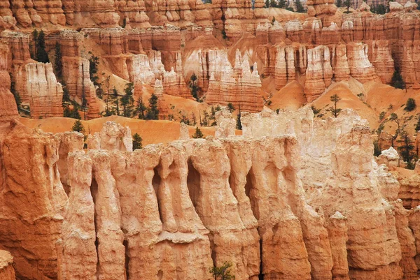 Bryce Canyon Ordförande — Stockfoto