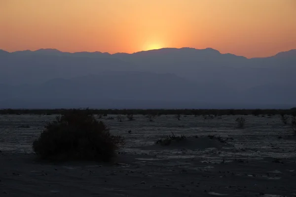 砂漠の夕日に — ストック写真