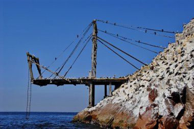 Guano toplamak pier