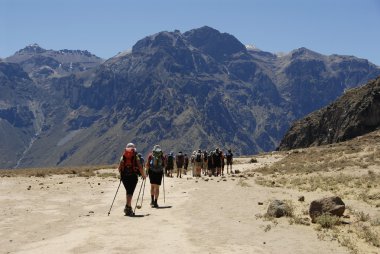 Trekking to Colca canyon clipart