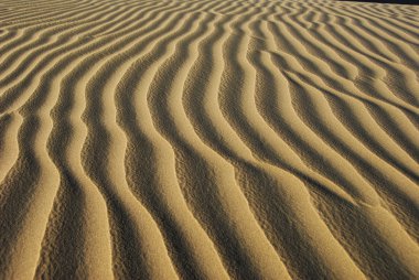 kum tepeleri, huacachina