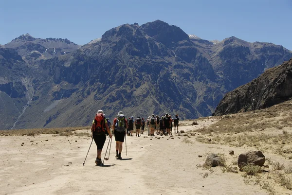 Trekking para o desfiladeiro de Colca — Fotografia de Stock