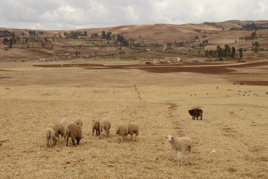 manzara kutsal vadi, peru