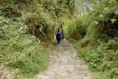 Inca trail clipart