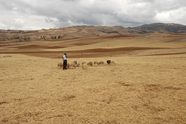 Landscape of Sacred valley, Peru — Stock Photo, Image