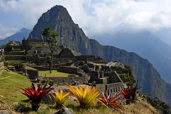 Makrill Picchu Stockbild