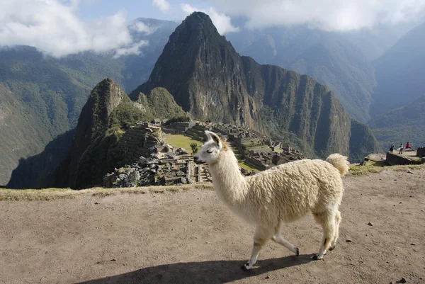 Machu Picchu vagyok. Jogdíjmentes Stock Képek