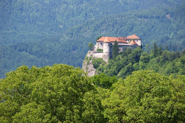 stock image The castle of Bled