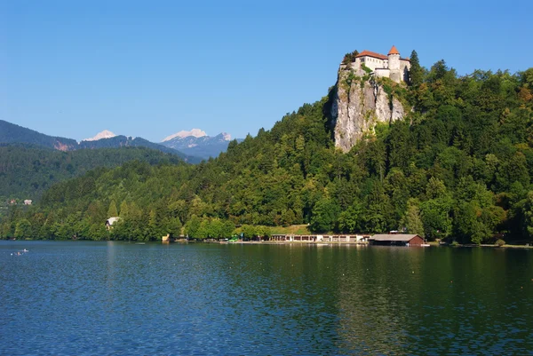 El castillo de Bled — Foto de Stock