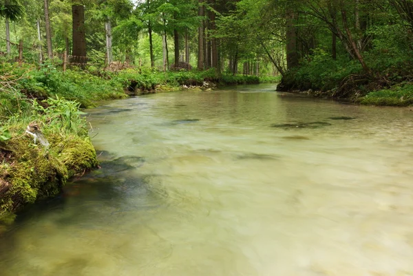 Rzeka grmecica — Zdjęcie stockowe