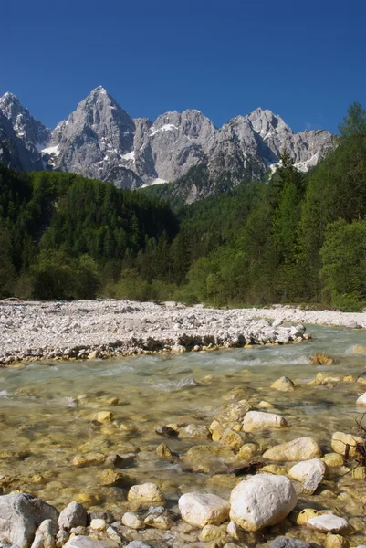 Il fiume Martuljek e il Mt. Spiga — Foto Stock