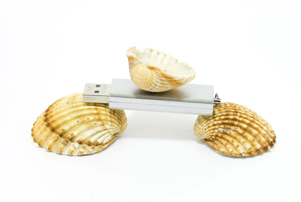 Sea shells and USB flash key — Stock Photo, Image