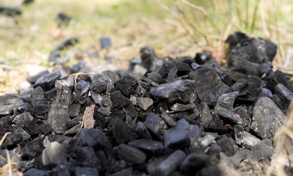 Stock image Coal on grass