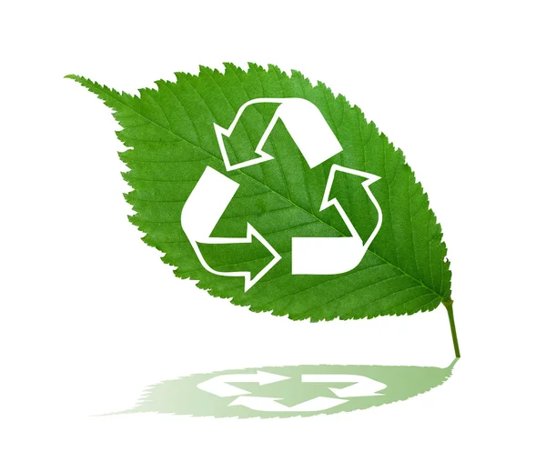 Kierrätysmerkki vihreällä lehdellä — kuvapankkivalokuva