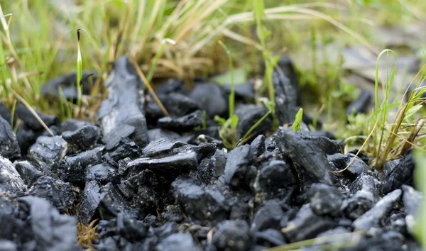 stock image Coal on grass