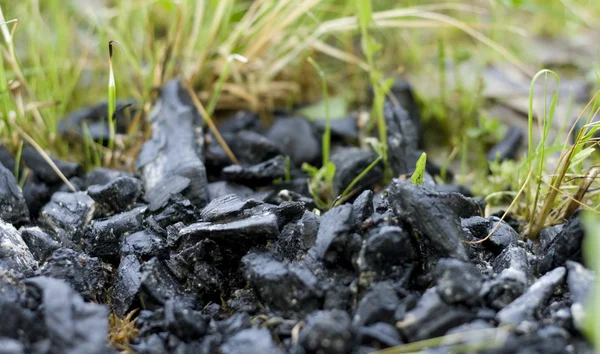 Уголь на траве Стоковое Фото