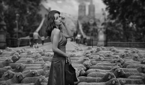 Fine art foto - brunette als herder in een stedelijke omgeving — Stockfoto
