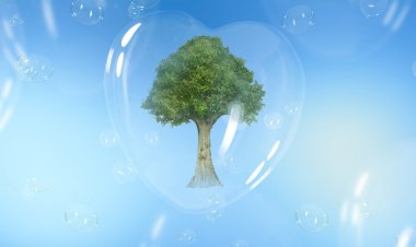 Green tree in a heart shaped soap bubble clipart