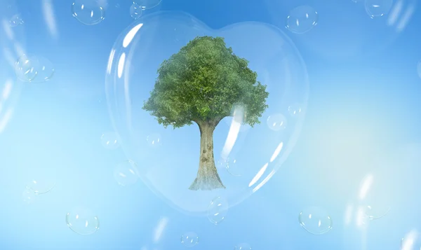 Albero verde in una bolla di sapone a forma di cuore — Foto Stock