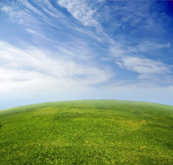 Зеленая трава, голубое небо в объективе рыбьего глаза — стоковое фото