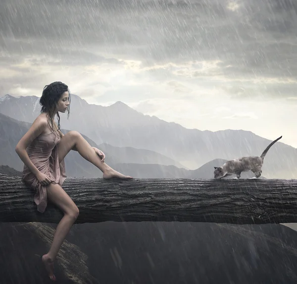 Mulher jovem e gato em um tronco — Fotografia de Stock