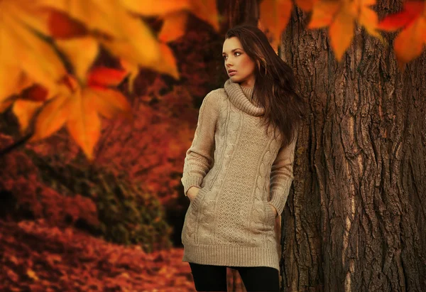 在浪漫的秋天风景中的年轻女子 — 图库照片