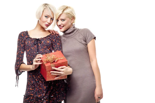 Twee Blonde Schoonheden Houden Een Kerstcadeau — Stockfoto