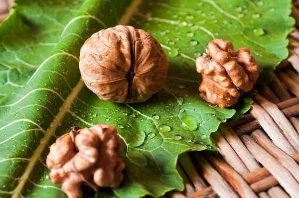 Орехи на простыне с капельками — стоковое фото