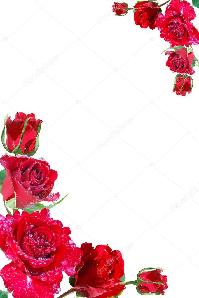 Frame from red roses — Stock Photo © galadon #3393718