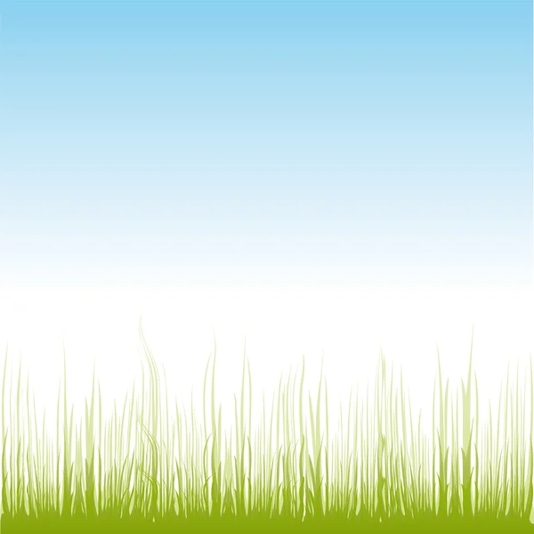 Vector grass illustration border background — Stock Vector