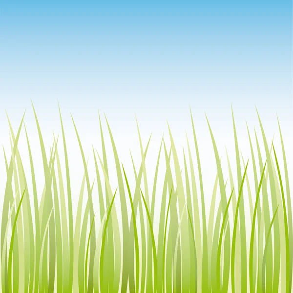 Vektor Gras Illustration Grenze Hintergrund — Stockvektor
