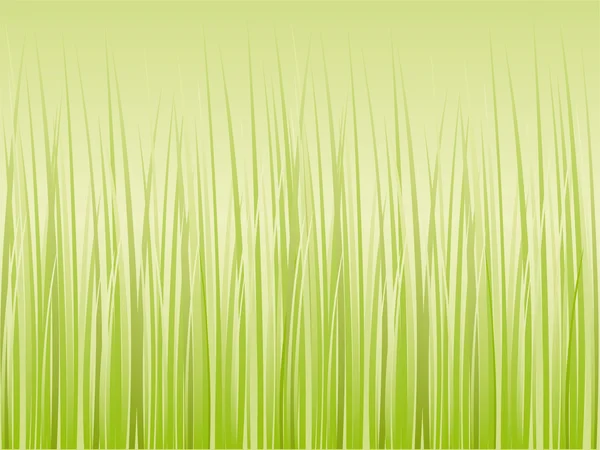 Vektor Gras Illustration Grenze Hintergrund — Stockvektor