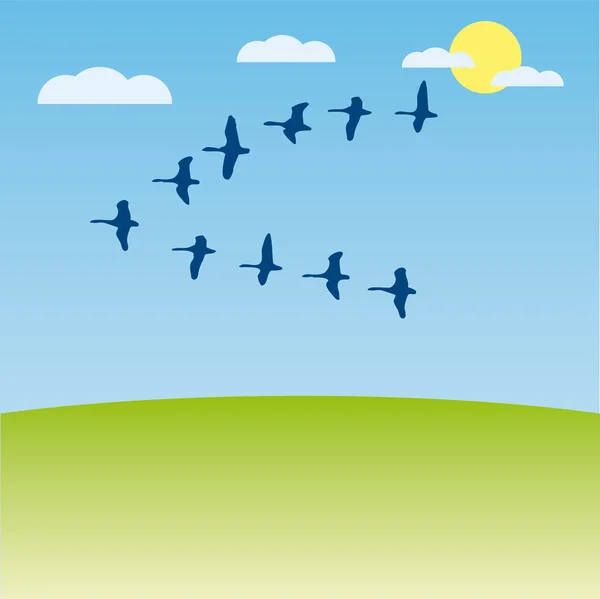 Ptaki wędrowne wektor ilustracja kreskówka — Wektor stockowy