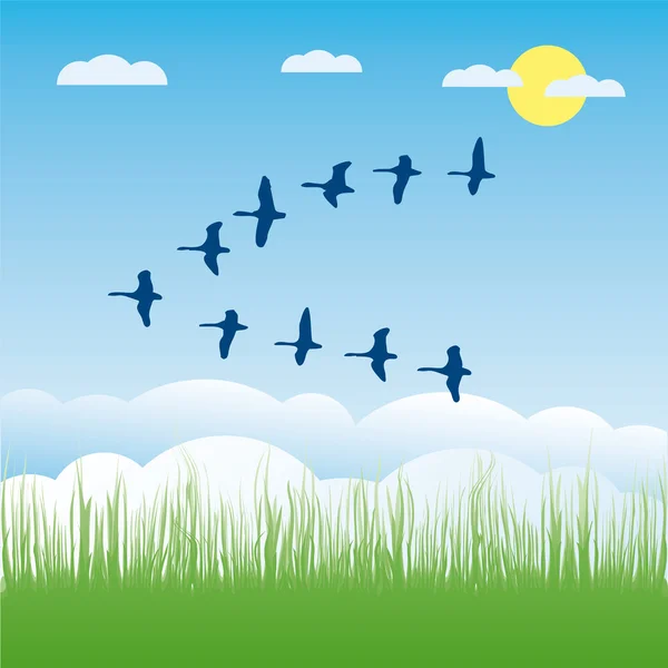 Vögel Zugvektor Illustration Karikatur — Stockvektor